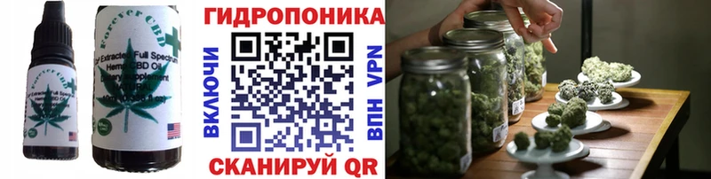 Canna-Cookies марихуана  Купить  Оса 