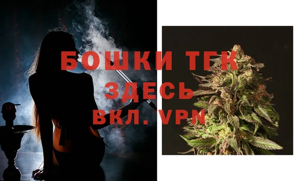 стаф Заводоуковск