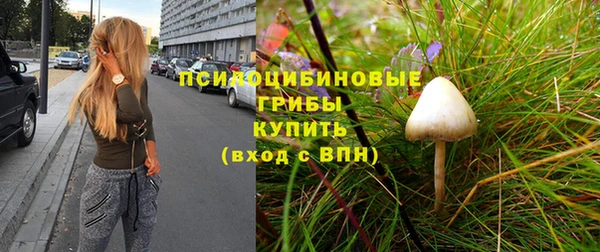 стаф Заводоуковск
