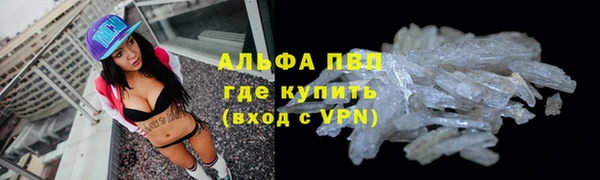 стаф Заводоуковск