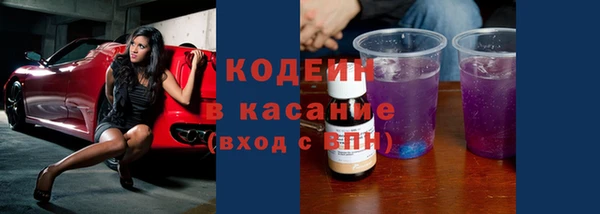 стаф Заводоуковск