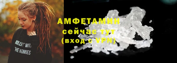 стаф Заводоуковск