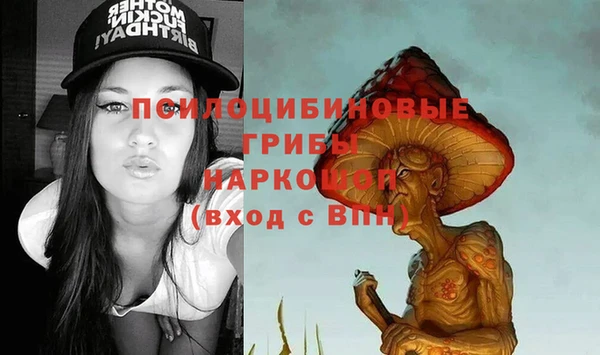 стаф Заводоуковск