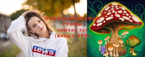 стаф Заводоуковск
