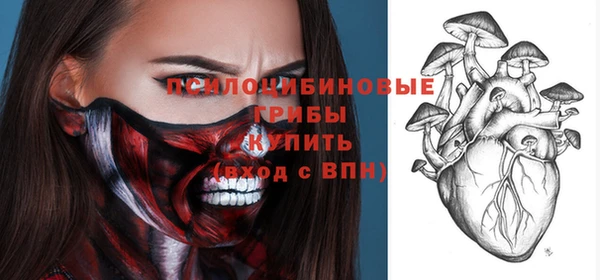 стаф Заводоуковск